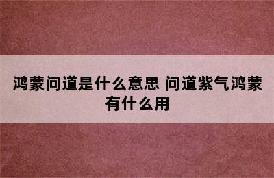 鸿蒙问道是什么意思 问道紫气鸿蒙有什么用